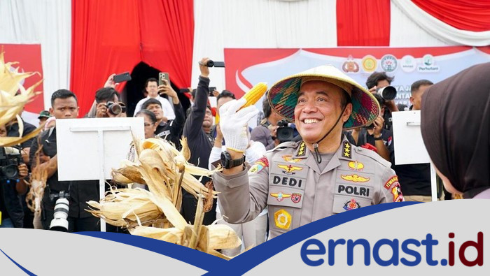 Irwasum Pamer Kerja Gugus Tugas Ketahanan Pangan Polri, Produksi Jagung Naik - Update 1