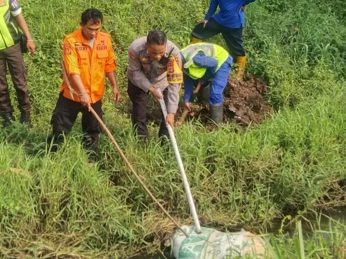 **Buntelan Karung Membuat Geger di Tangsel, Dikira Mayat Tapi Ternyata Bangkai Kambing**