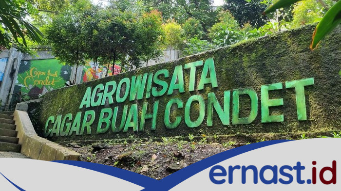 Serba-Serbi Buah Bersisik yang Jadi Maskot Jakarta: Rahasia di Balik Ikon Kota Ini yang Jarang Diketahui