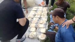 [Polda Sumut Amankan 30 Kg Sabu, 2 Nelayan Jaringan Internasional Dihukum]