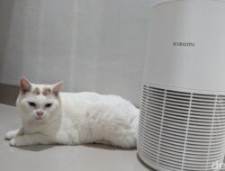 “Review Xiaomi Smart Pet Care Air Purifier: Sehatkan Majikan, Tenangkan Anabul”