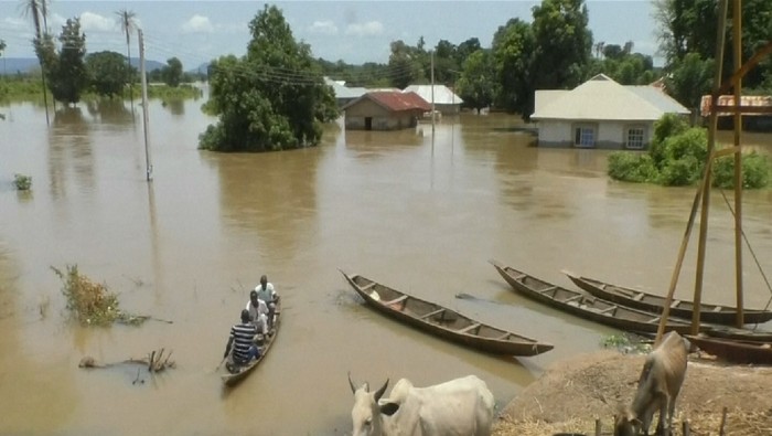 Pilu 150 Orang Tewas Akibat Banjir Bandang di Nigeria - Update 1