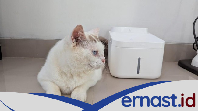 Xiaomi Smart Pet Fountain 2: Solusi Cerdas untuk Kesehatan Kucing