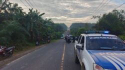 Tragedi Maut di Pelalawan: Dua Jiwa Hilang dalam Kecelakaan Ambulans