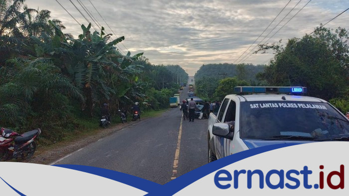 Tragedi Maut di Pelalawan: Dua Jiwa Hilang dalam Kecelakaan Ambulans