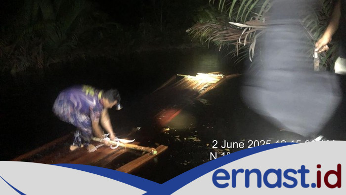 Polisi Bongkar Illegal Logging di Meranti Riau, 20 Ton Kayu Disita - Update 1