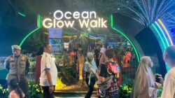 “Melihat Keindahan Alam Bawah Laut Jakarta: Sebuah Reinkarnasi Menakjubkan”