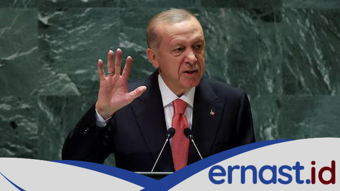 Erdogan Berambisi Gelar Pertemuan Putin-Zelensky-Trump di Turki untuk Cegah Perang