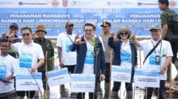 **Freeport & KLH Akselerasi Program Mangrove di Kalsel, Target 10 Ribu Hektare Hingga 2041**