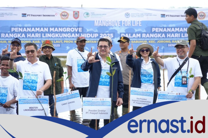 **Freeport & KLH Akselerasi Program Mangrove di Kalsel, Target 10 Ribu Hektare Hingga 2041**