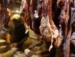 **Daging Kambing vs Sapi: Mana yang Lebih Tinggi Kolesterol? Fakta dari Dokter**