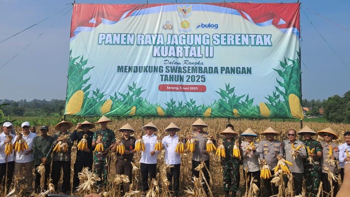 Kapolda Banten-Andra Soni: Panen Raya Jagung, Kunci Ketahanan Pangan di Tengah Krisis