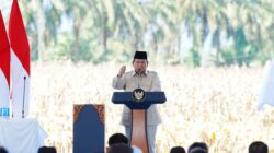 Prabowo: Tanpa Impor Jagung 2026, Mentan-Kapolri Pastikan Keamanan Pangan RI