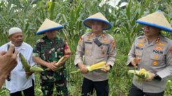Polres Depok Raih 2 Ton Jagung, Dukung Ketahanan Pangan Indonesia