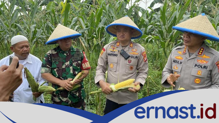 Polres Depok Raih 2 Ton Jagung, Dukung Ketahanan Pangan Indonesia