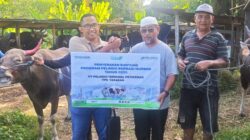 Pelindo Petikemas Siapkan 30 Juru Sembelih Halal, Antisipasi Idul Adha 2025