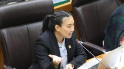 Sara Gerindra Minta Evaluasi Tambang Nikel Raja Ampat: Ancaman pada Kekayaan Alam Indonesia