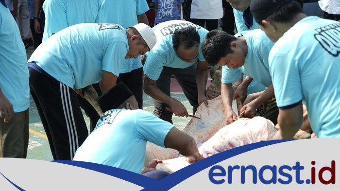 Lapas Cipinang Terima 10 Sapi-14 Kambing, Dirjenpas: Warga Binaan Nikmati Kurban - Update 1