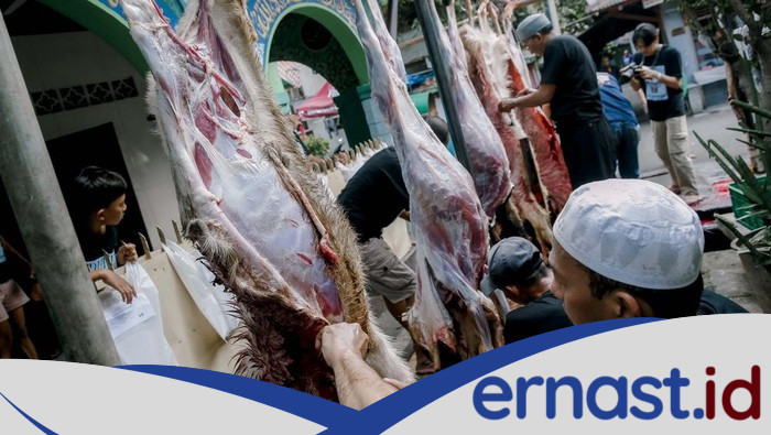 Sakit Kepala sebagai Tanda Kolesterol Tinggi? Dokter Jelaskan Faktanya