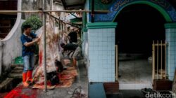 **Apa Tandanya Sudah Kelebihan Makan Daging? Cek di Sini**